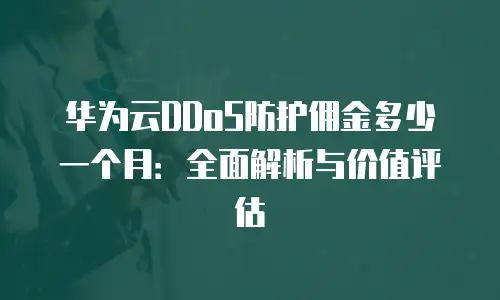 华为云DDoS防护佣金多少一个月：全面解析与价值评估