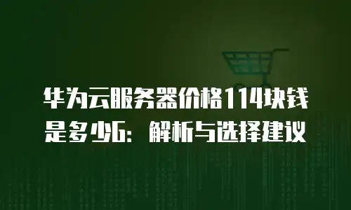 华为云服务器价格114块钱是多少G：解析与选择建议