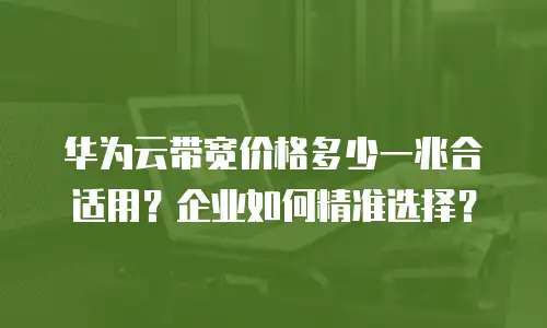 华为云带宽价格多少一兆合适用？企业如何精准选择？