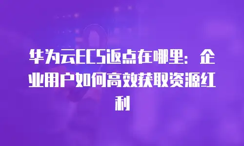 华为云ECS返点在哪里：企业用户如何高效获取资源红利