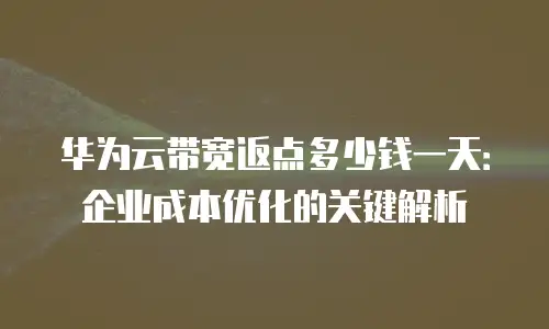 华为云带宽返点多少钱一天：企业成本优化的关键解析