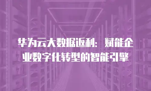 华为云大数据返利：赋能企业数字化转型的智能引擎