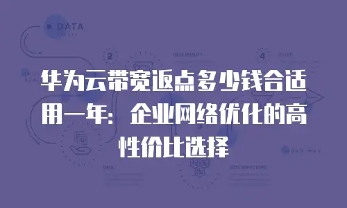 华为云带宽返点多少钱合适用一年：企业网络优化的高性价比选择
