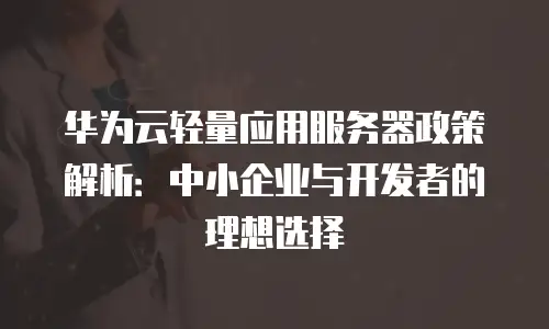 华为云轻量应用服务器政策解析：中小企业与开发者的理想选择