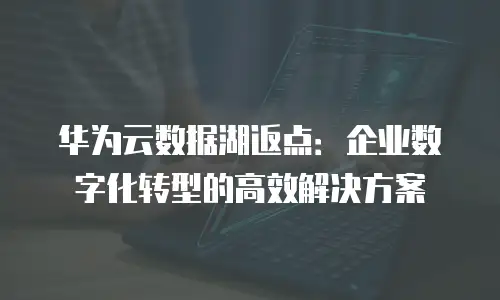 华为云数据湖返点：企业数字化转型的高效解决方案