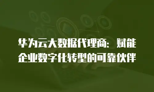 华为云大数据代理商：赋能企业数字化转型的可靠伙伴