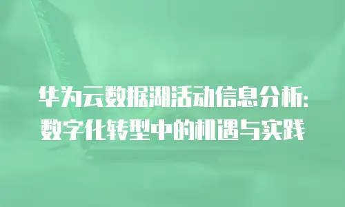 华为云数据湖活动信息分析：数字化转型中的机遇与实践