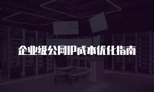 企业级公网IP成本优化指南