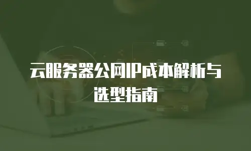 云服务器公网IP成本解析与选型指南