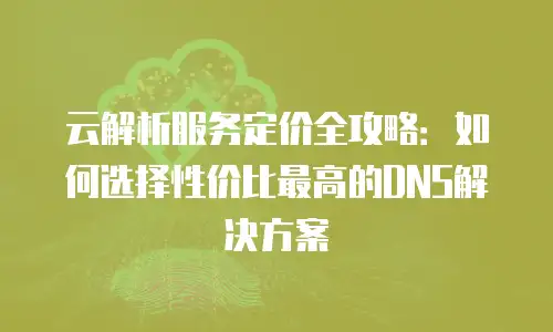 云解析服务定价全攻略：如何选择性价比最高的DNS解决方案