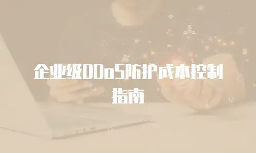 企业级DDoS防护成本控制指南