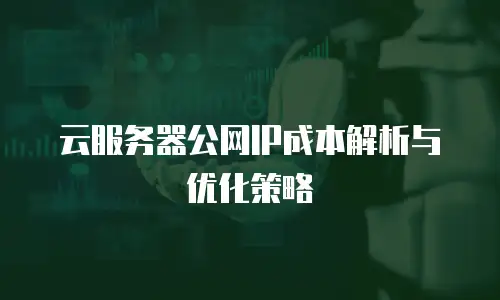 云服务器公网IP成本解析与优化策略