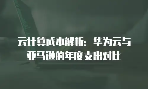 云计算成本解析：华为云与亚马逊的年度支出对比