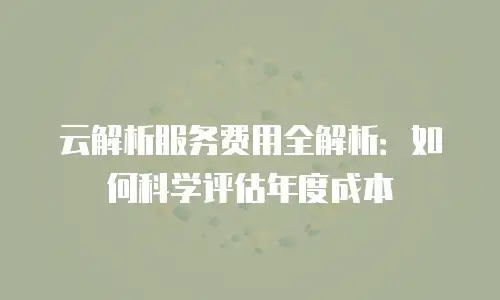 云解析服务费用全解析：如何科学评估年度成本