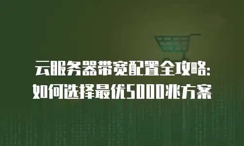 云服务器带宽配置全攻略：如何选择最优5000兆方案