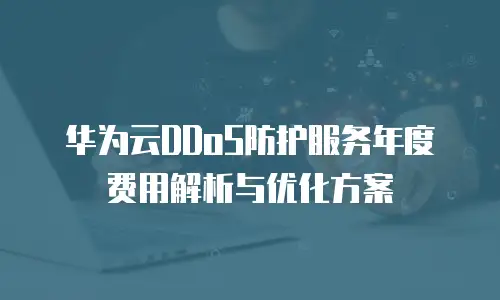 华为云DDoS防护服务年度费用解析与优化方案