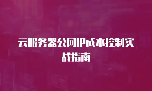 云服务器公网IP成本控制实战指南