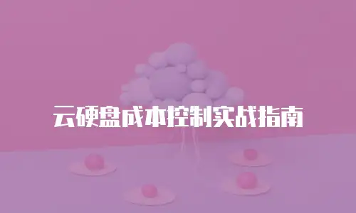 云硬盘成本控制实战指南