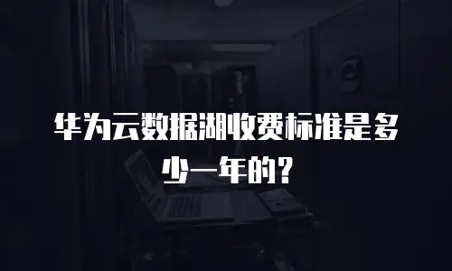 华为云数据湖收费标准是多少一年的？