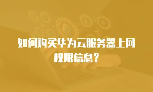 如何购买华为云服务器上网权限信息？