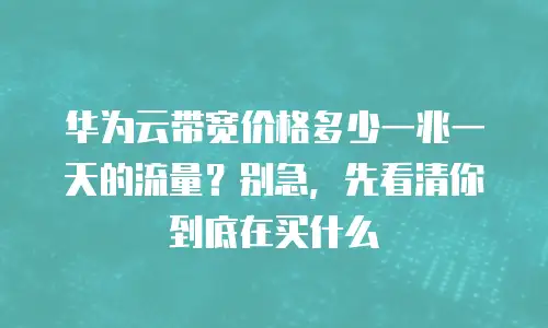 华为云带宽价格多少一兆一天的流量？别急，先看清你到底在买什么