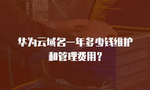 华为云域名一年多少钱维护和管理费用？