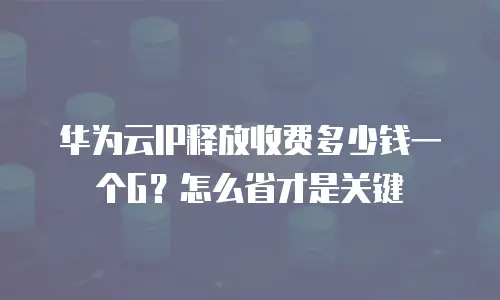 华为云IP释放收费多少钱一个G？怎么省才是关键