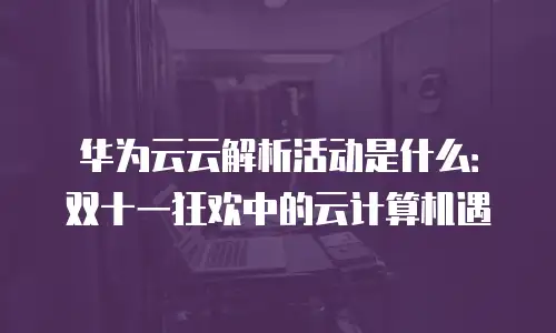 华为云云解析活动是什么：双十一狂欢中的云计算机遇