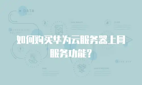 如何购买华为云服务器上网服务功能？