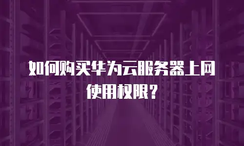 如何购买华为云服务器上网使用权限？