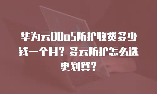 华为云DDoS防护收费多少钱一个月？多云防护怎么选更划算？