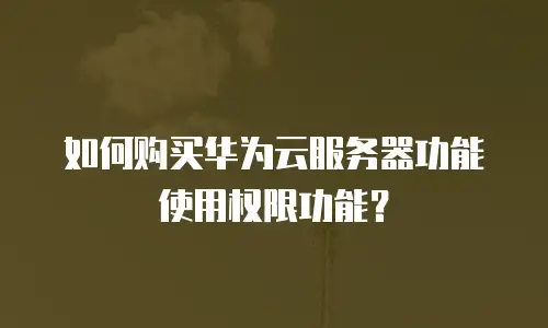如何购买华为云服务器功能使用权限功能？