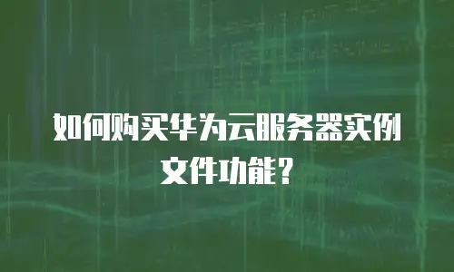 如何购买华为云服务器实例文件功能？