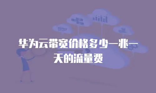 华为云带宽价格多少一兆一天的流量费