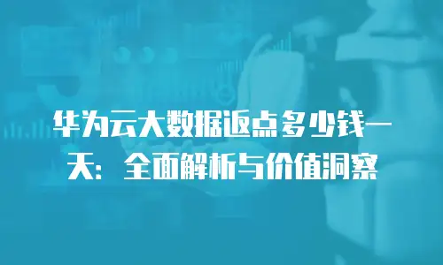 华为云大数据返点多少钱一天：全面解析与价值洞察