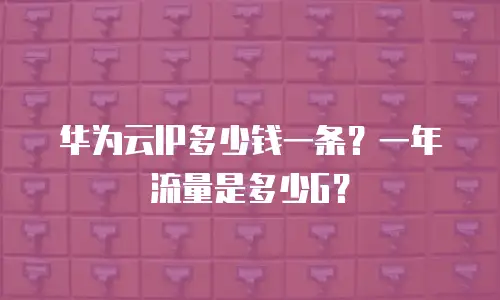 华为云IP多少钱一条？一年流量是多少G？