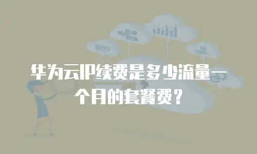 华为云IP续费是多少流量一个月的套餐费？