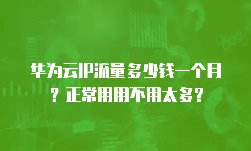 华为云IP流量多少钱一个月？正常用用不用太多？