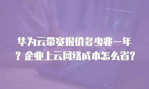 华为云带宽报价多少兆一年？企业上云网络成本怎么省？