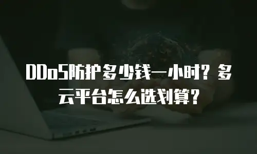 DDoS防护多少钱一小时？多云平台怎么选划算？