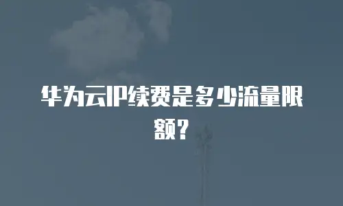 华为云IP续费是多少流量限额？