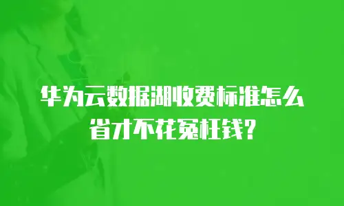 华为云数据湖收费标准怎么省才不花冤枉钱？