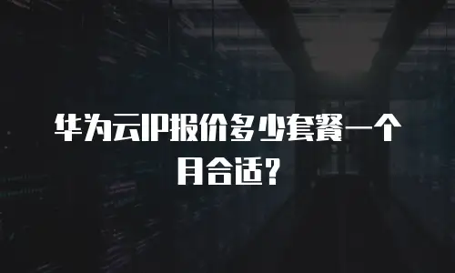 华为云IP报价多少套餐一个月合适？