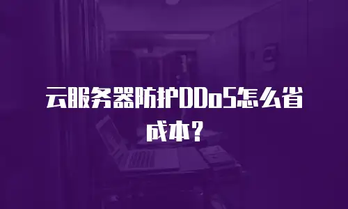 云服务器防护DDoS怎么省成本？