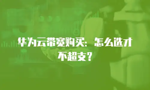 华为云带宽购买：怎么选才不超支？