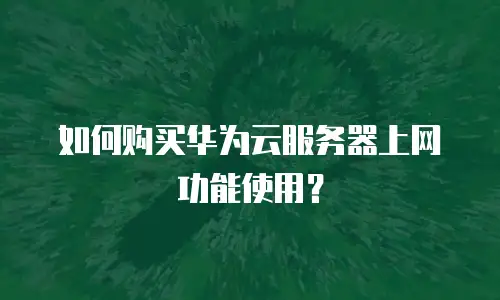 如何购买华为云服务器上网功能使用？