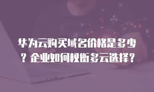 华为云购买域名价格是多少？企业如何权衡多云选择？