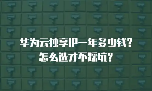 华为云独享IP一年多少钱？怎么选才不踩坑？