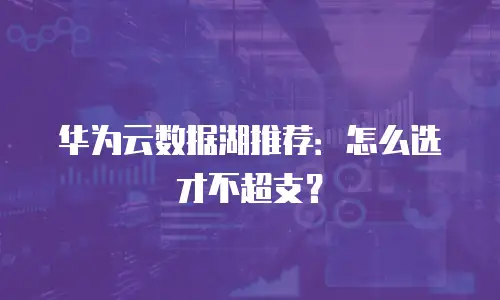 华为云数据湖推荐：怎么选才不超支？