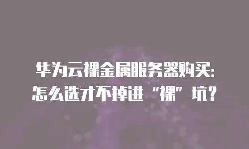 华为云裸金属服务器购买：怎么选才不掉进&ldquo;裸&rdquo;坑？
